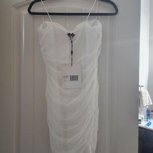 L'eau Bustier Dedon Mesh Dress